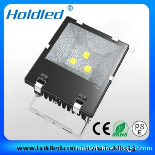 Led Flood light 100W COB 2013